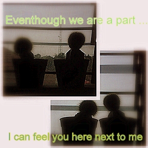 Eventhough We are a Part, I Can Feel You Here Next to Me